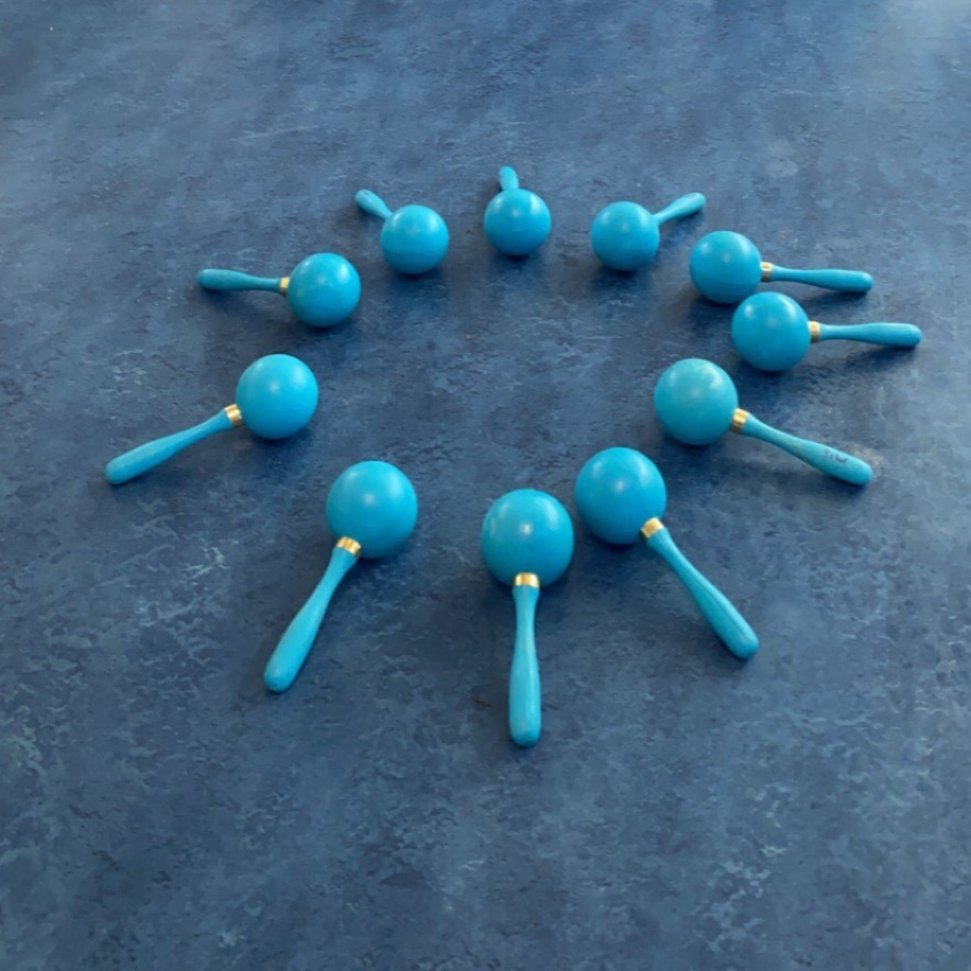 gro-up met sambaballen muziek maken op de BSO