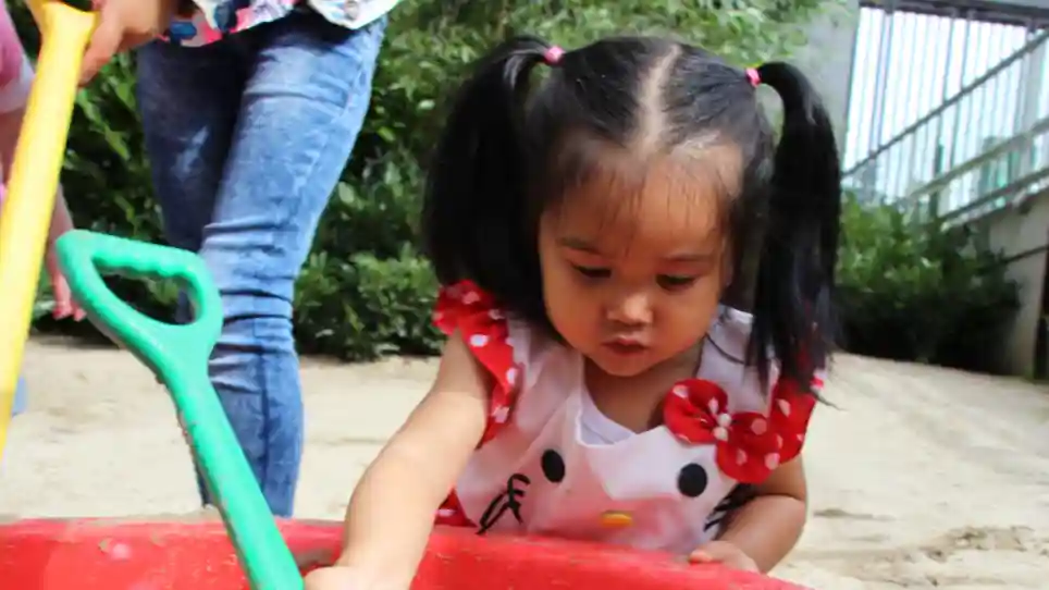 Het Zwanennest Het Zwanennest