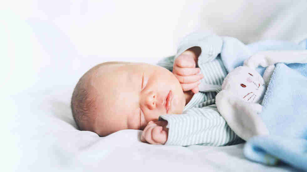 Shutterstock 714484453 Shutterstock 714484453