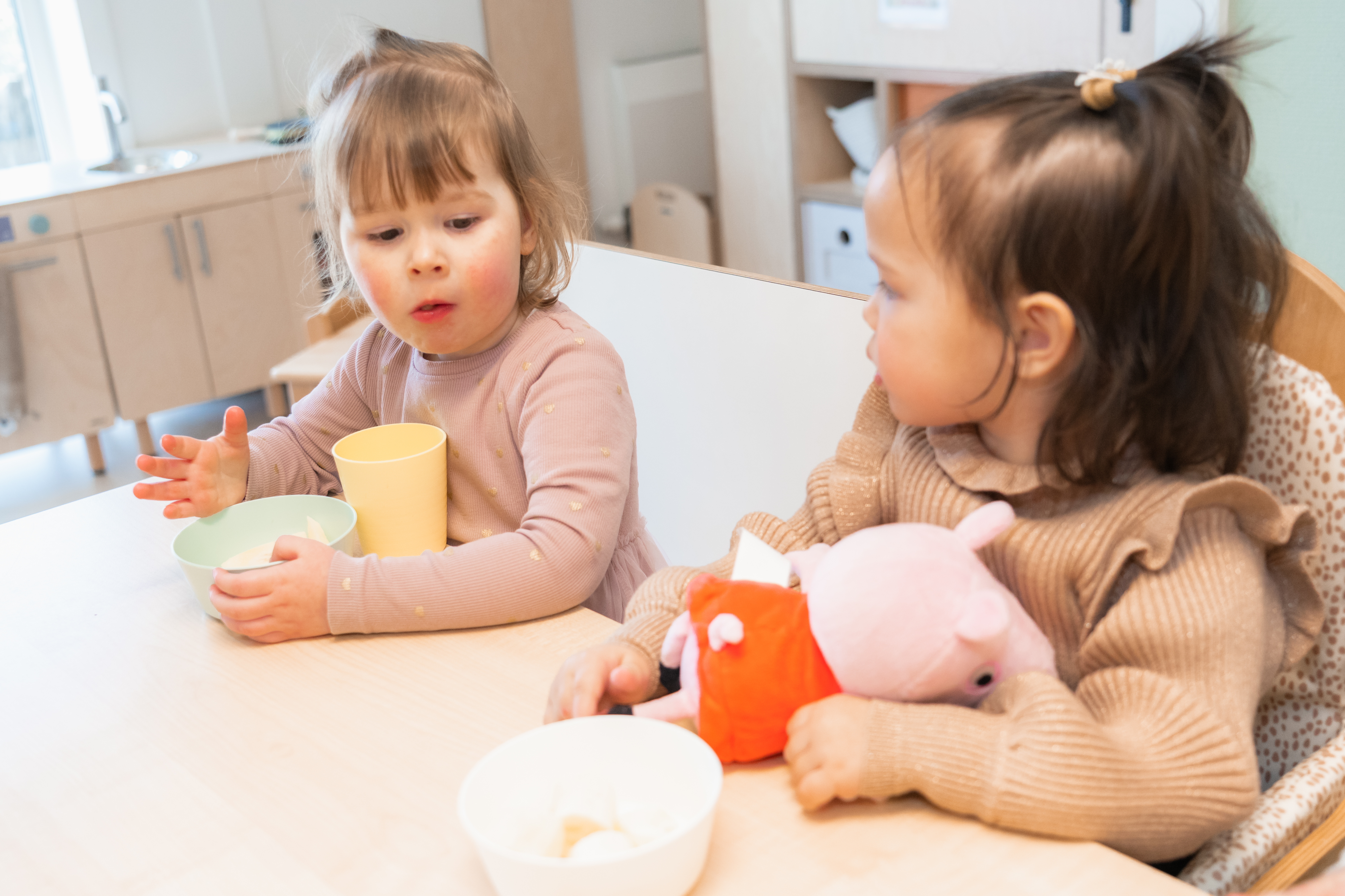 Kinderdagverblijf De Teddybeer in Rotterdam Ommoord