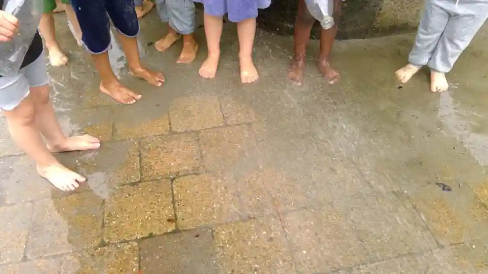 Pippeloentje Pippeloentje