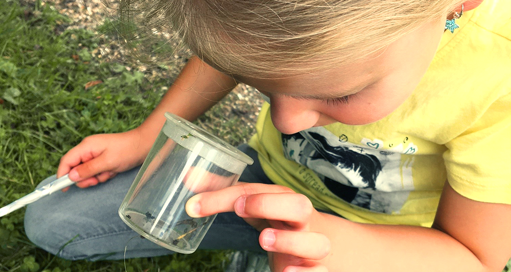 gro-up peuteropvang Robijn kleine beestjes