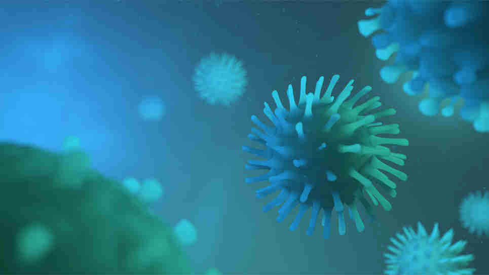 Virus Virus