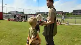 gro-up kinderen gaan naar een roofvogelshow in Linschoten en Montfoort gro-up kinderen gaan naar een roofvogelshow in Linschoten en Montfoort