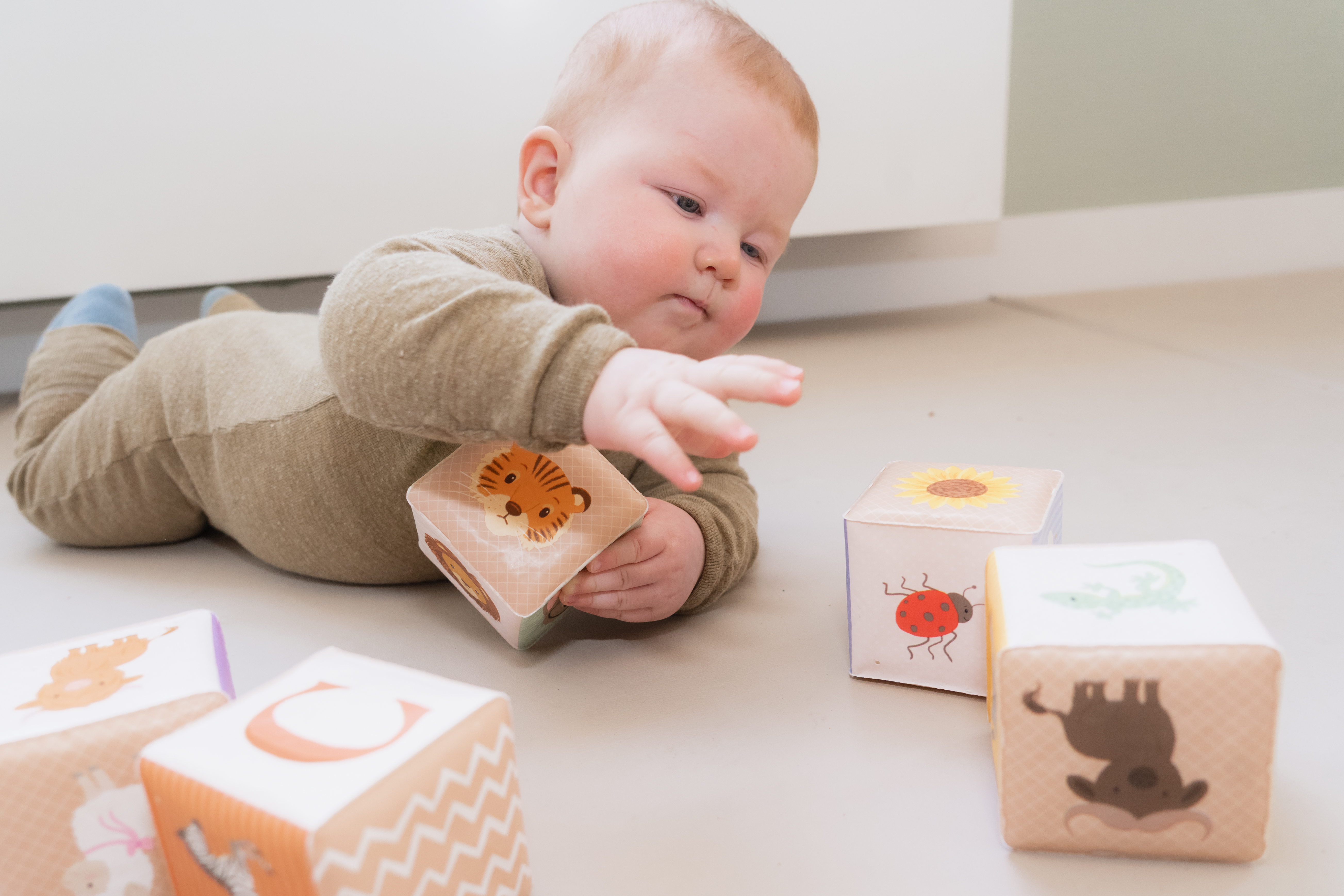 Kinderdagverblijf in Rotterdam Ommoord