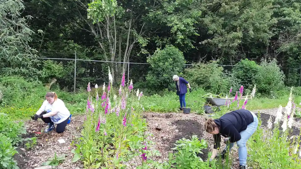 Het Succes Van Dementalent Het Succes Van Dementalent