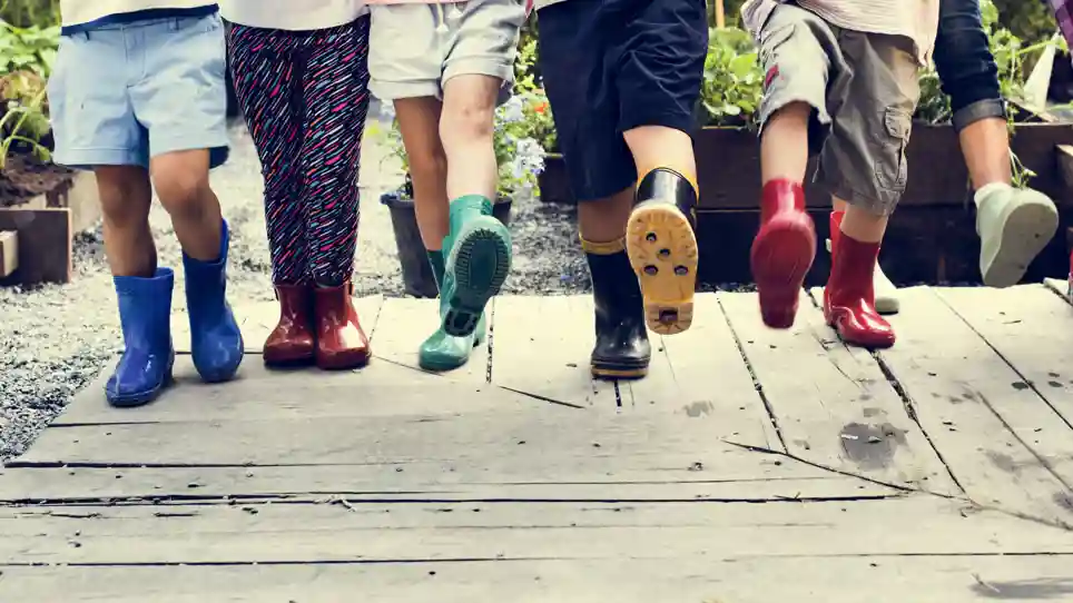 Shutterstock 622008269 Shutterstock 622008269