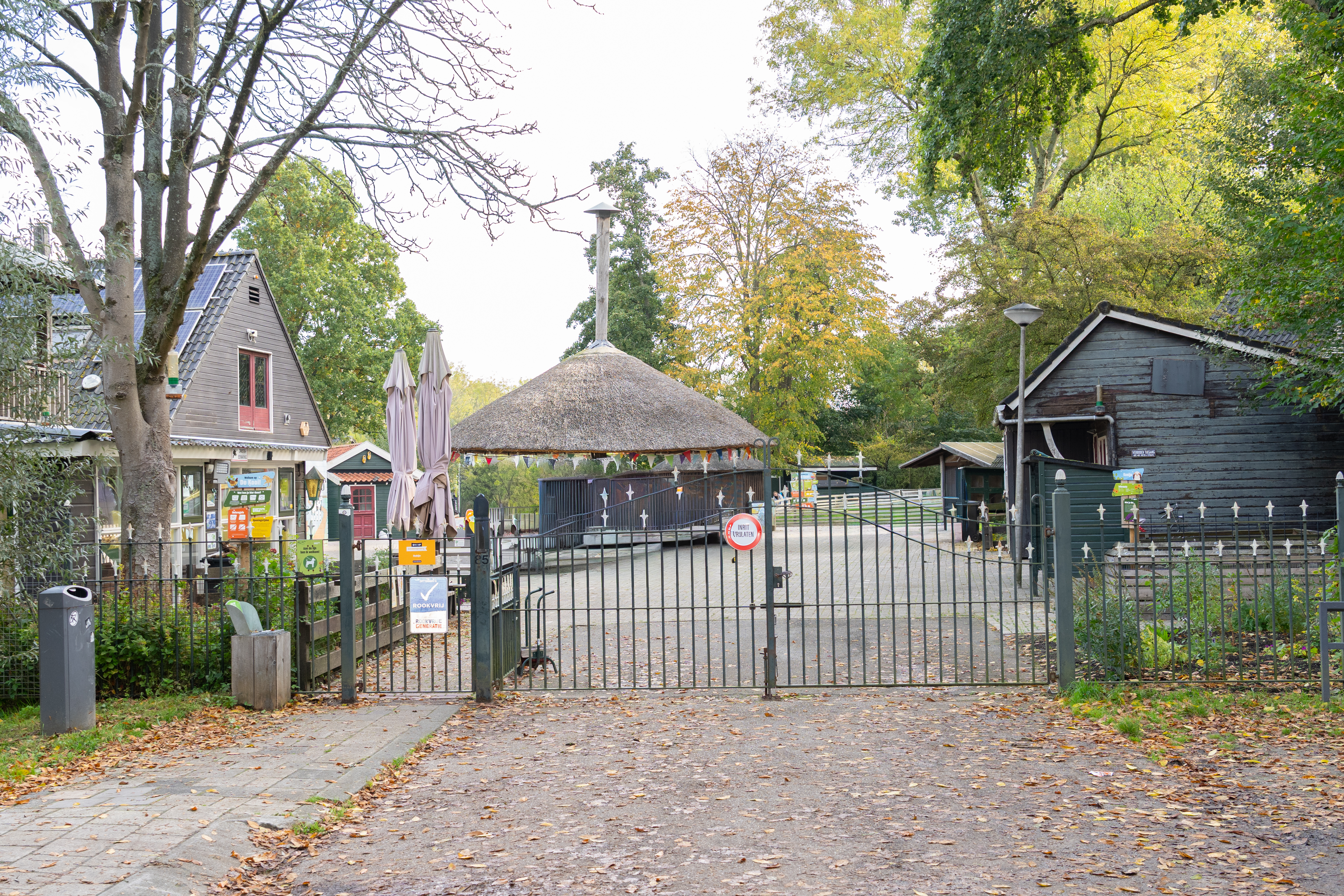 Peuteropvang Robijn in Rotterdam