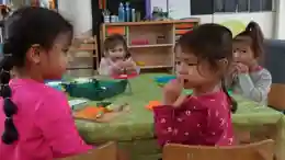 gro-up Start Pilot Met Ontbijt Voor Peuters gro-up Start Pilot Met Ontbijt Voor Peuters