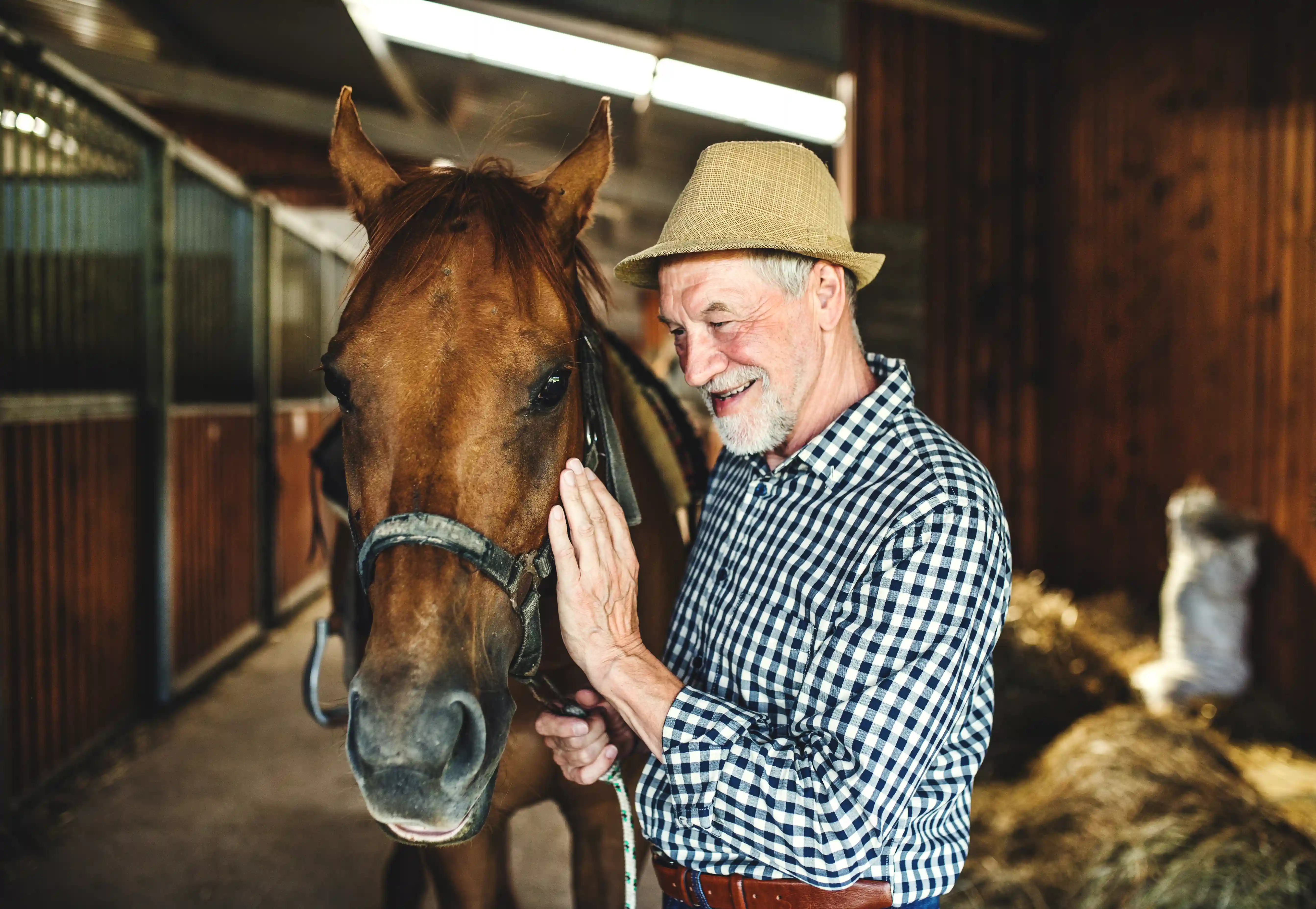 Waar vind je DemenTalent? Een oudere man aait een paard die hij verzorgd als vrijwilligerswerk. De man doet mee aan DemenTalent van gro-up buurtwerk.