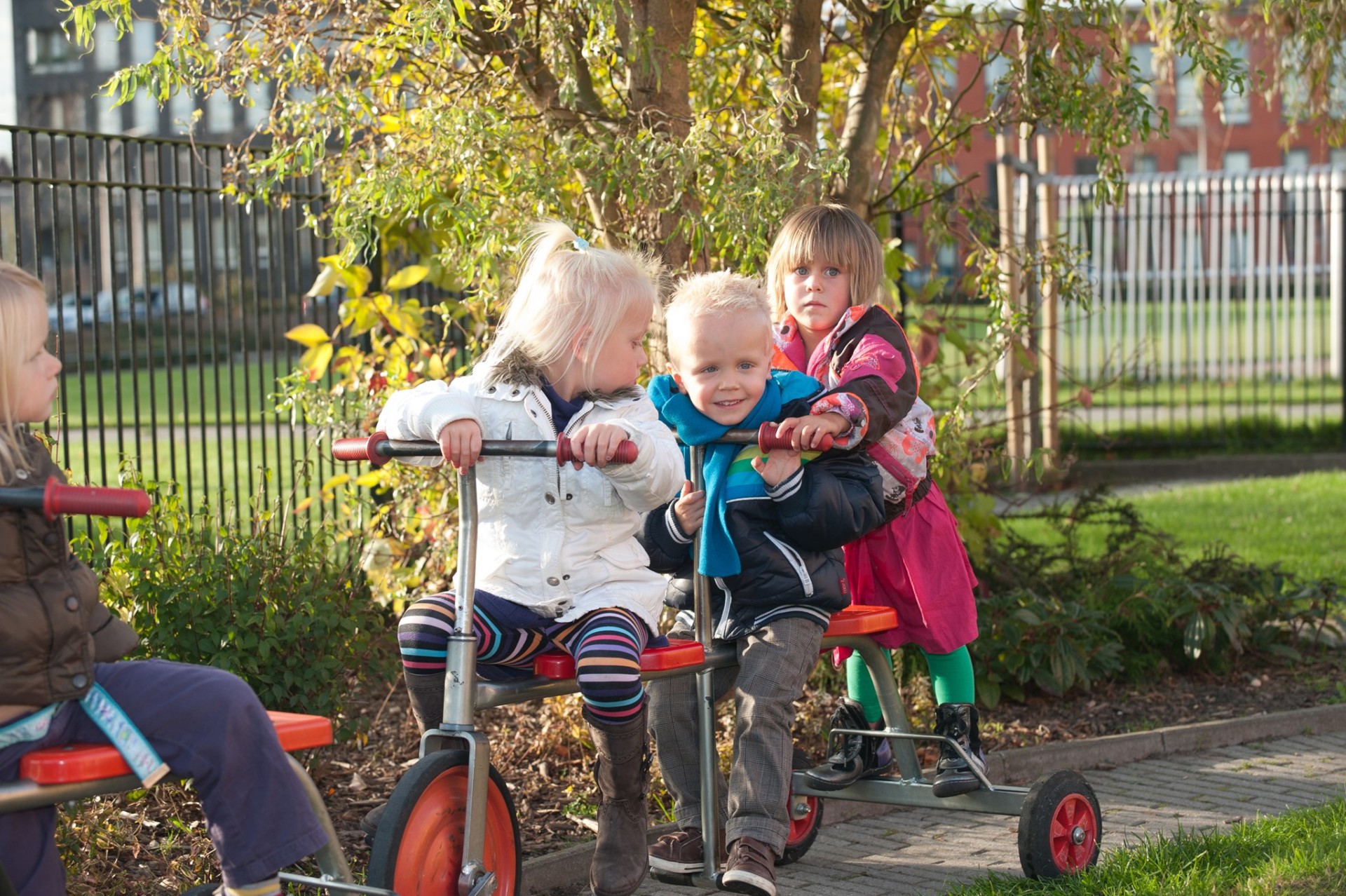 Het Pingu&#xEF;nnest