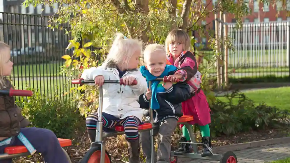 Het Pinguïnnest Het Pinguïnnest